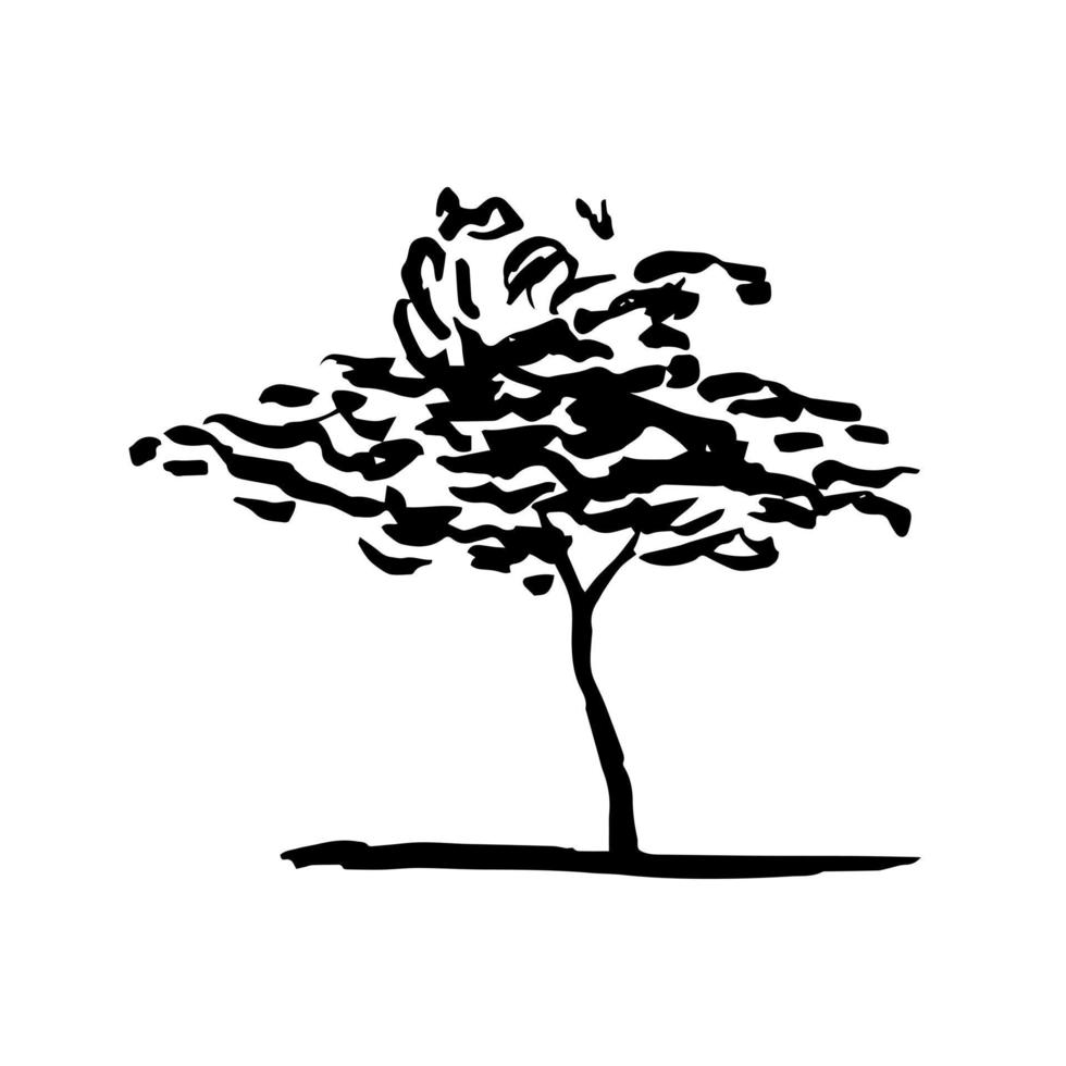 arte de clip dibujado a mano de árbol de enebro vectorial. boceto de tinta de enebro dibujado a mano aislado vector