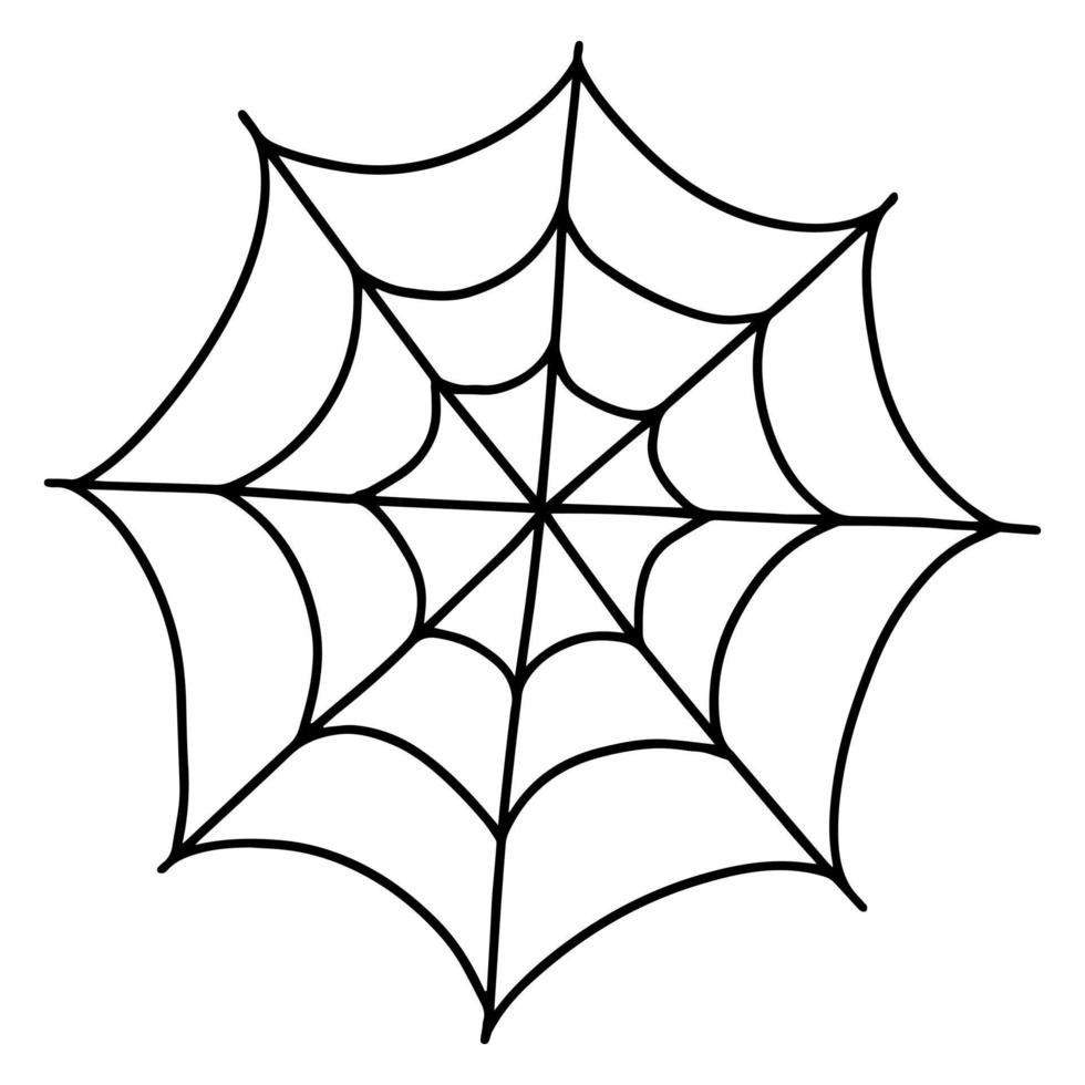 Vector spider web doodle illustration. Hand drawn doodle spider web isolated