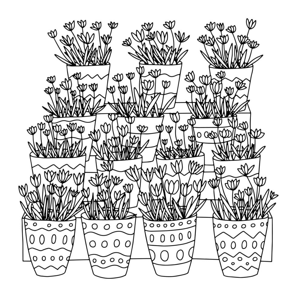 Coloring page with flower shop. Many basket with tulips. Coloring page for children and adults vector