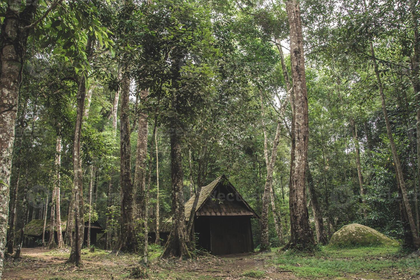 Old wooden cottage in the forest photo