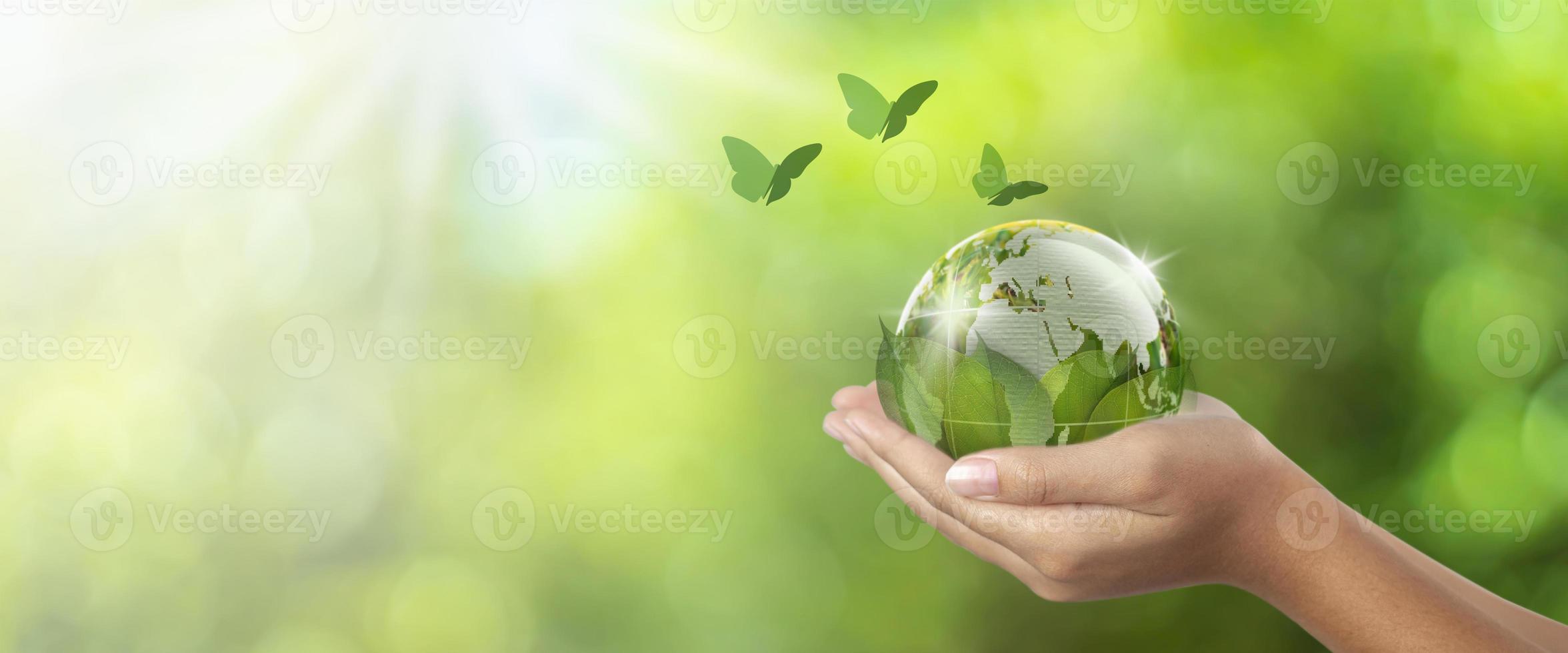 environmental conservation earth concept, woman holding globe under leaf and butterfly flying nearby, earth in woman's hand green bokeh background and white light photo