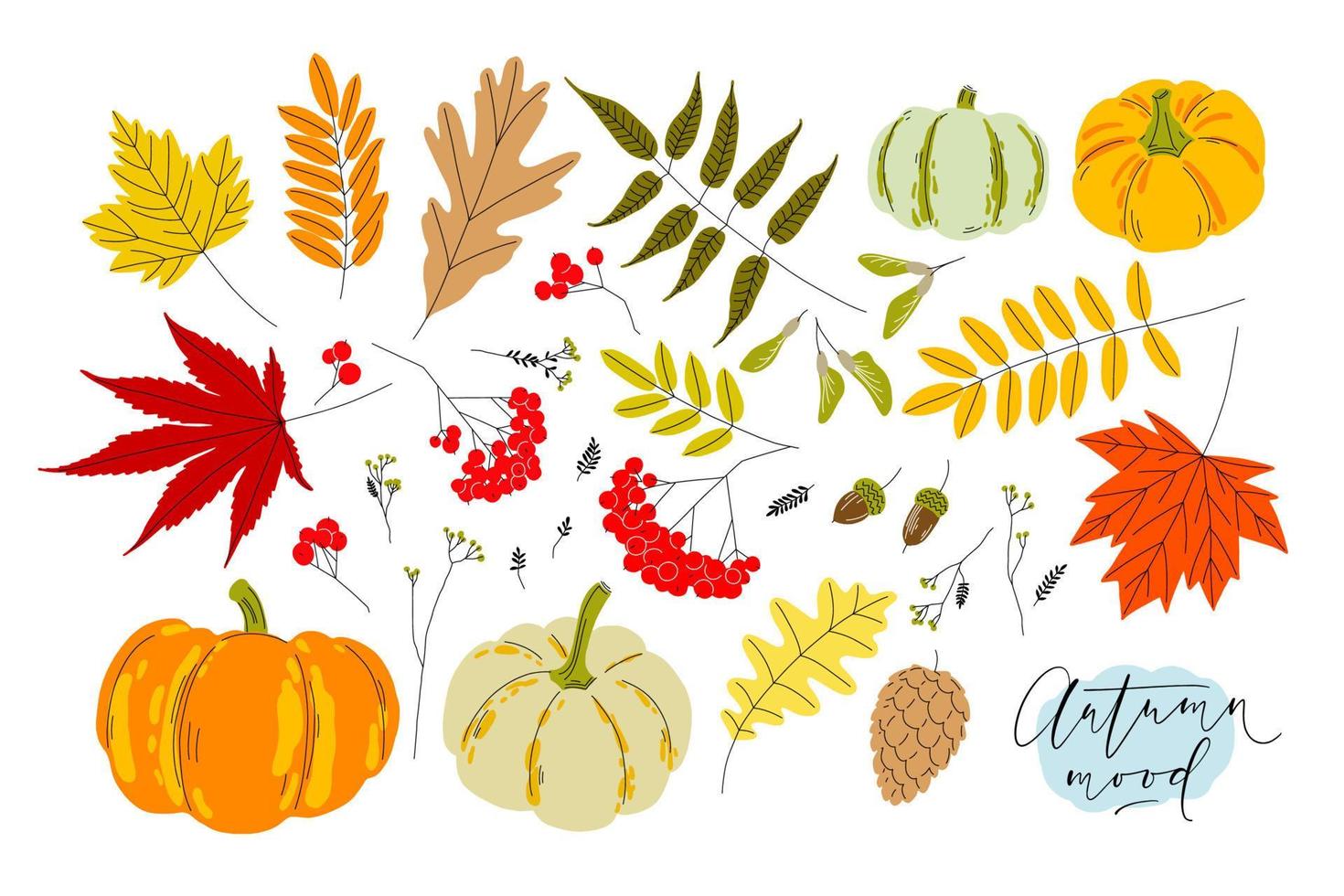 Set of colorful autumn leaves, berries, pumpkins, acorns and seeds. Isolated clip-arts on white background. Simple flat style vector illustrations.