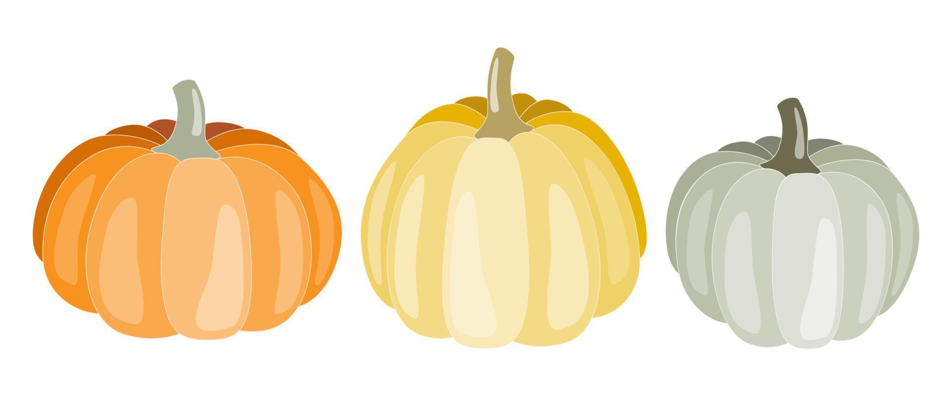 Pumpkins clip art elements. Isolated on white background. Fall, Autumn design for cards, invitations. Design decoration for Thanksgiving, Halloween, harvest season, scrapbooking and home decor. vector