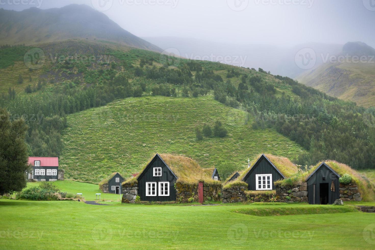 casas rurales típicas cubiertas de maleza foto