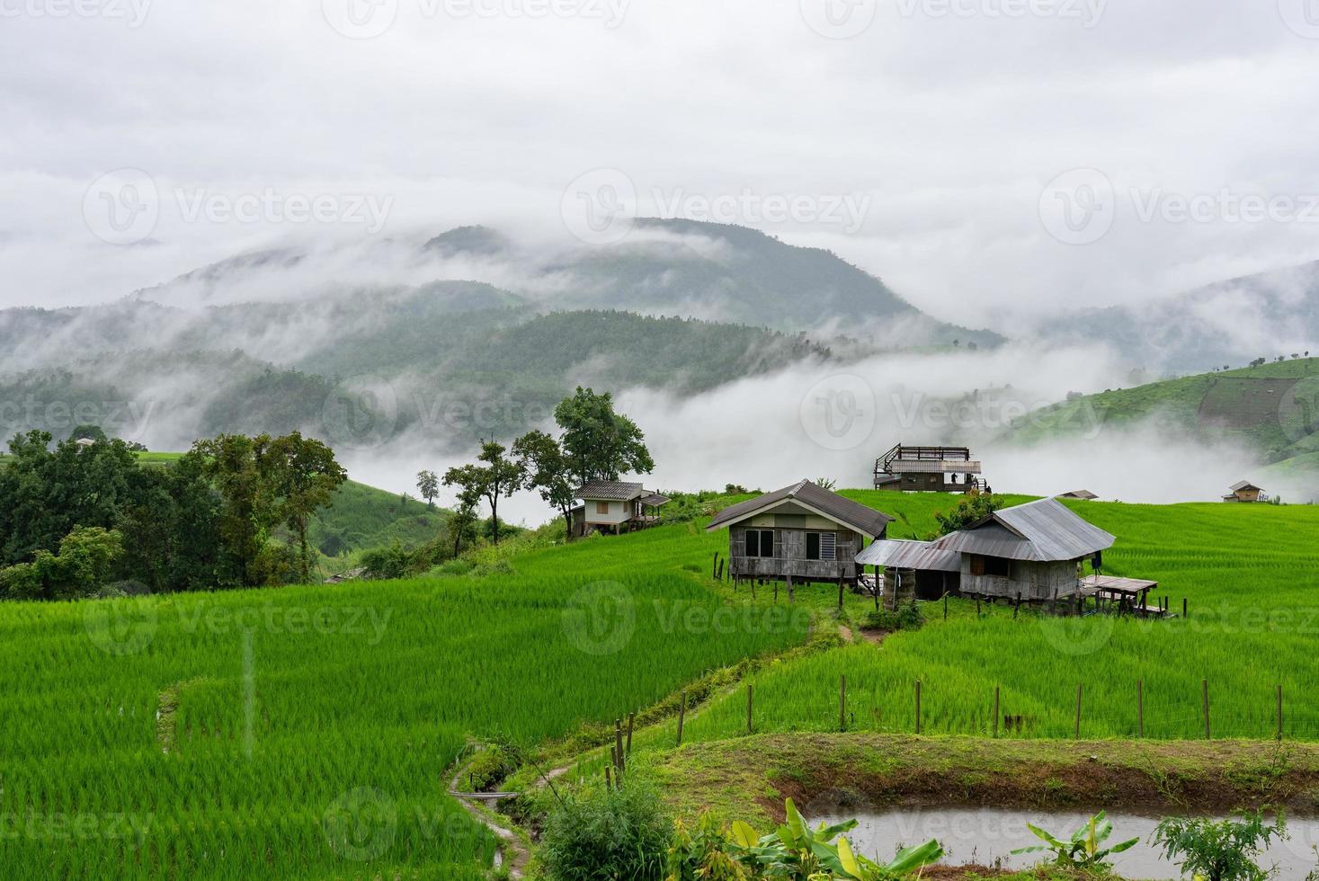 paisaje de una pequeña casa antigua rodeada de terrazas de arroz con arroz verde y montañas en un día brumoso en la temporada de lluvias en ban pa pong piang, chiangmai tailandia foto