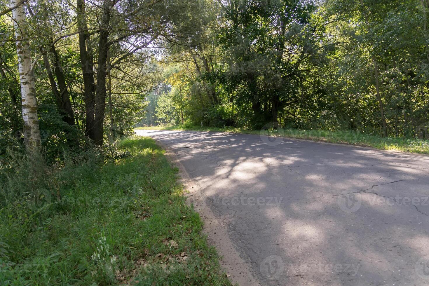 camino rural agrietado foto