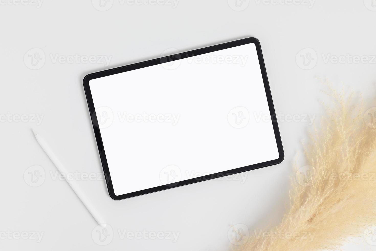 white tablet and stylus with copy space blank screen, light background with dry flower blossoms in vase, top view photo