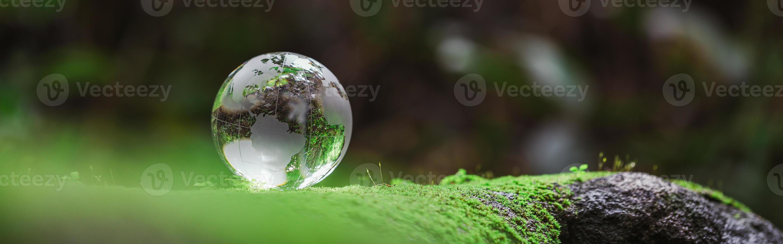 Globe planet glass in green forest with bokeh nature lights. world environment day. concept of environment conservation, protect ecology earth and environmental eco-friendly life banner and copy space photo