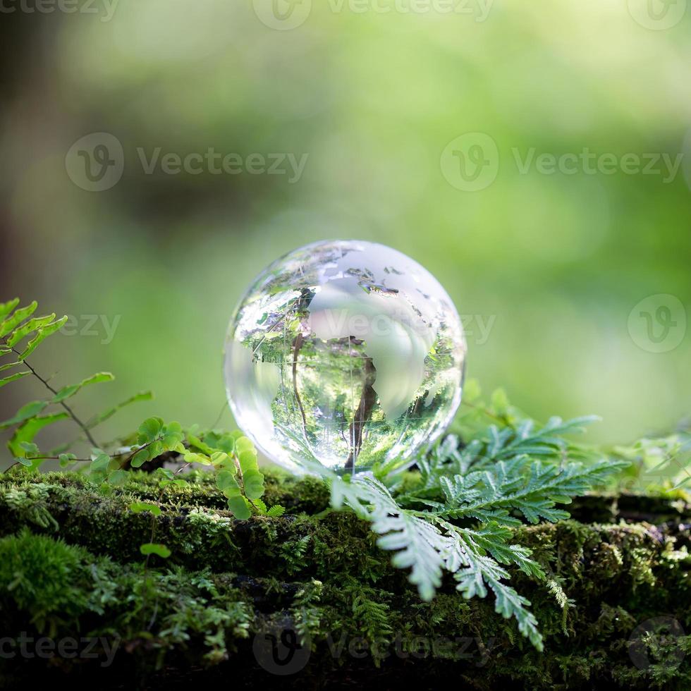 Globe planet glass In green forest with bokeh nature lights. world environment day. concept for environment conservation, protect ecology earth and environmental eco-friendly life with copy space photo