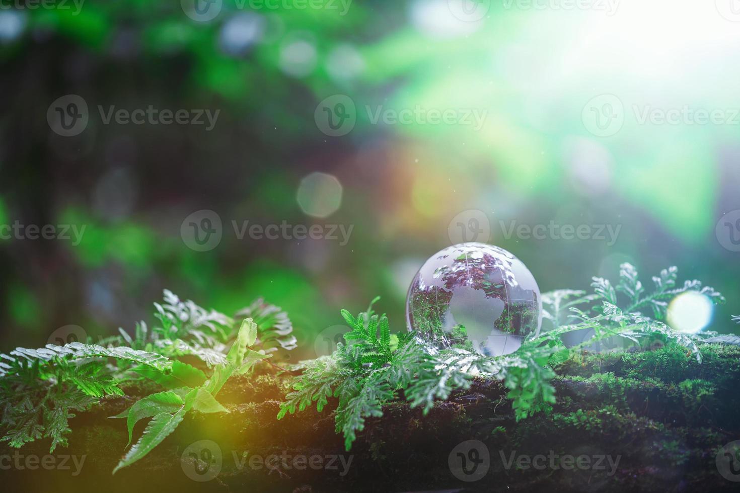 Globe planet glass In green forest with bokeh nature lights. world environment day. concept for environment conservation, protect ecology earth and environmental eco-friendly life with copy space photo