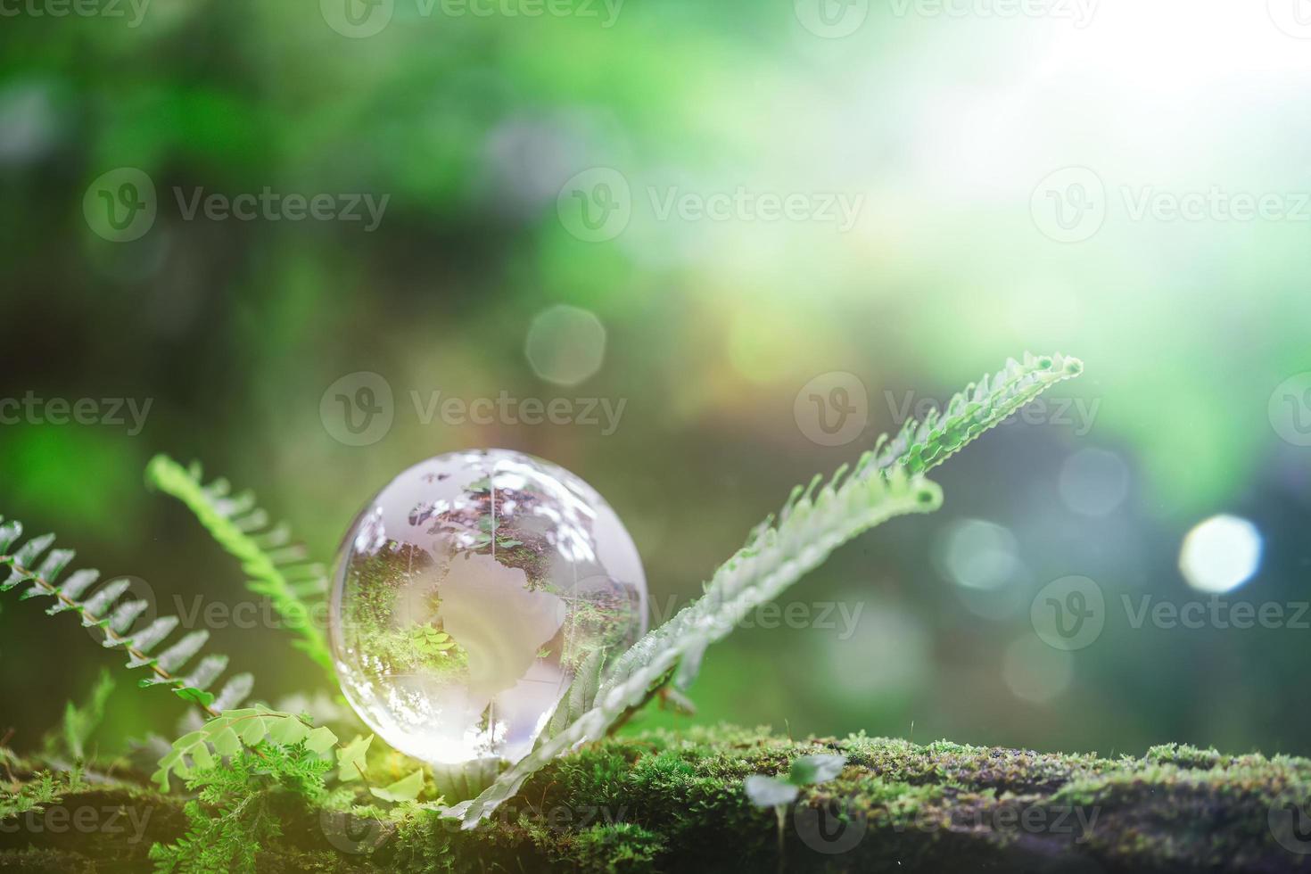 Globe planet glass In green forest with bokeh nature lights. world environment day. concept for environment conservation, protect ecology earth and environmental eco-friendly life with copy space photo