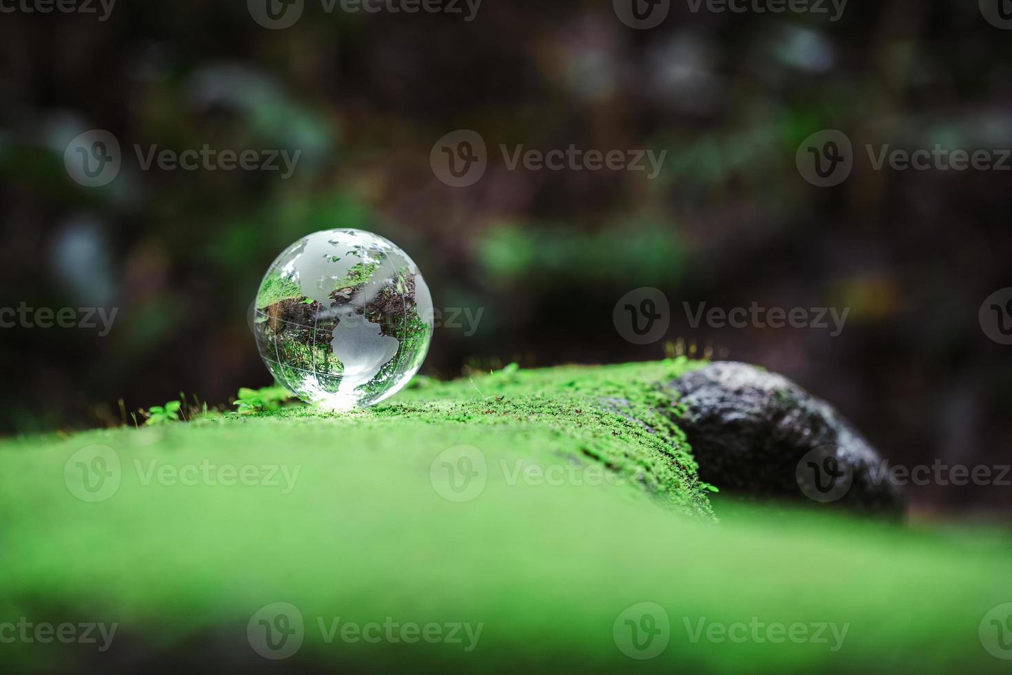 Globe planet glass In green forest with bokeh nature lights. world environment day. concept for environment conservation, protect ecology earth and environmental eco-friendly life with copy space photo