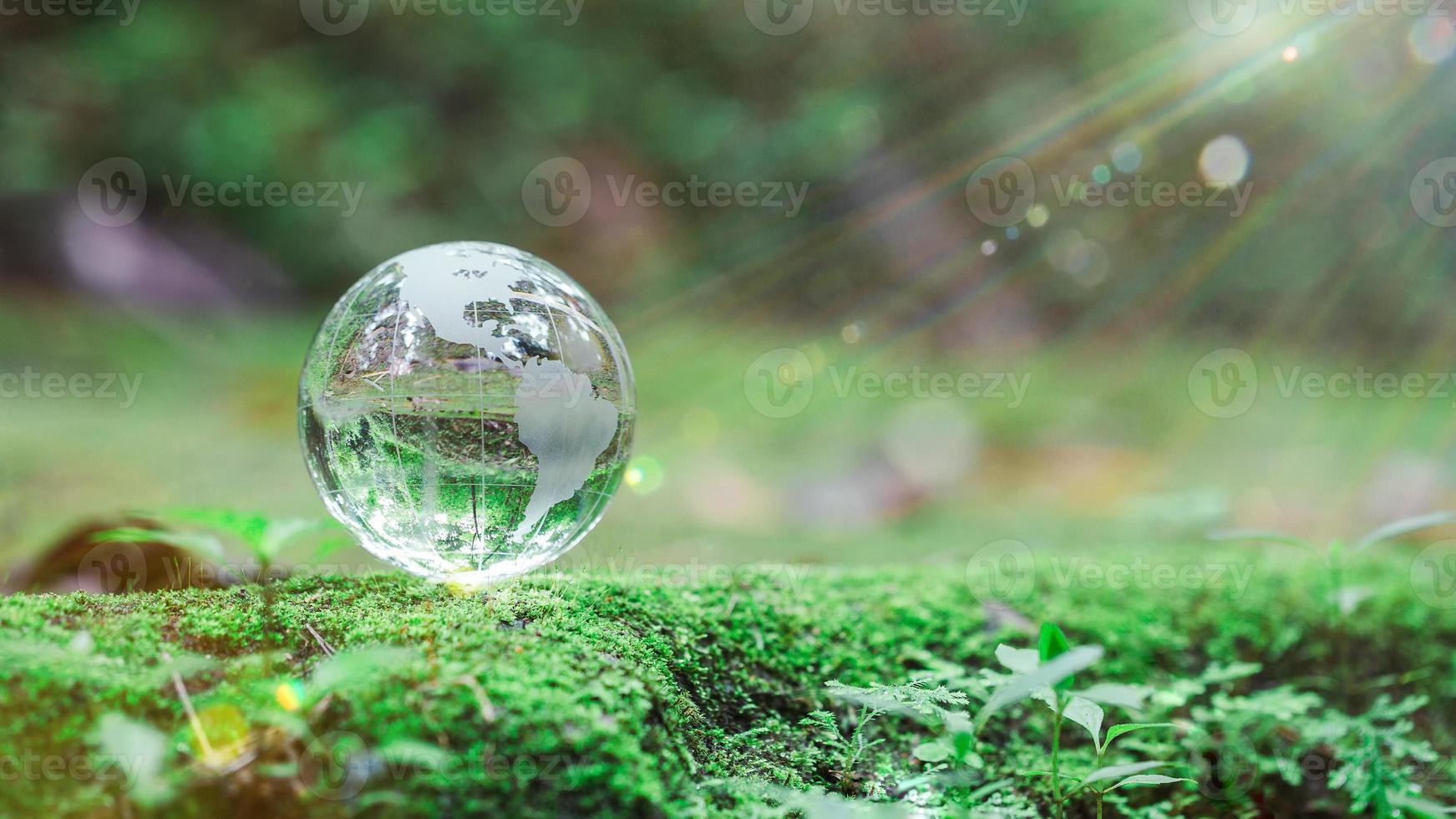 Globe planet glass In green forest with bokeh nature lights. world environment day. concept for environment conservation, protect ecology earth and environmental eco-friendly life with copy space photo