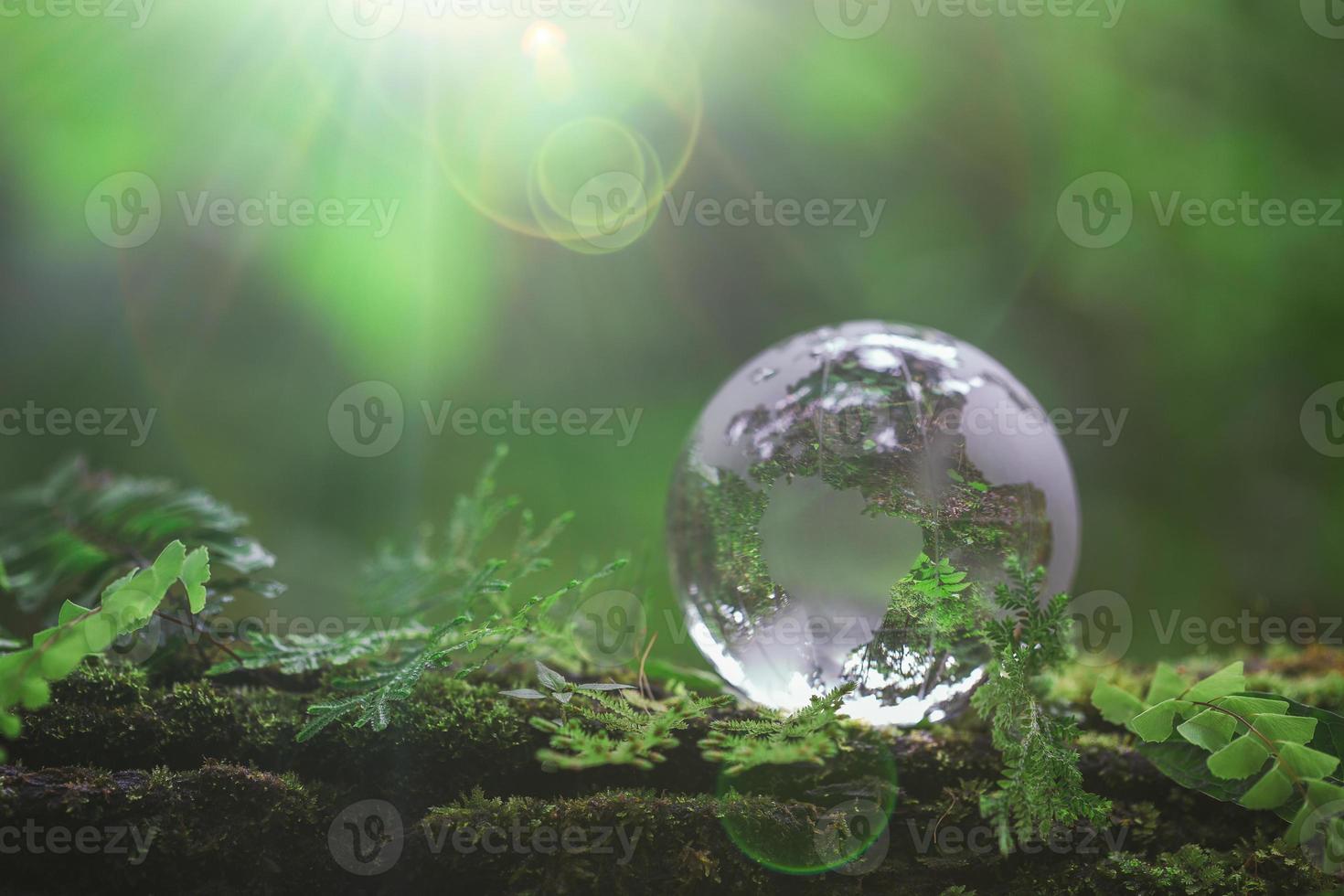 Globe planet glass In green forest with bokeh nature lights. world environment day. concept for environment conservation, protect ecology earth and environmental eco-friendly life with copy space photo