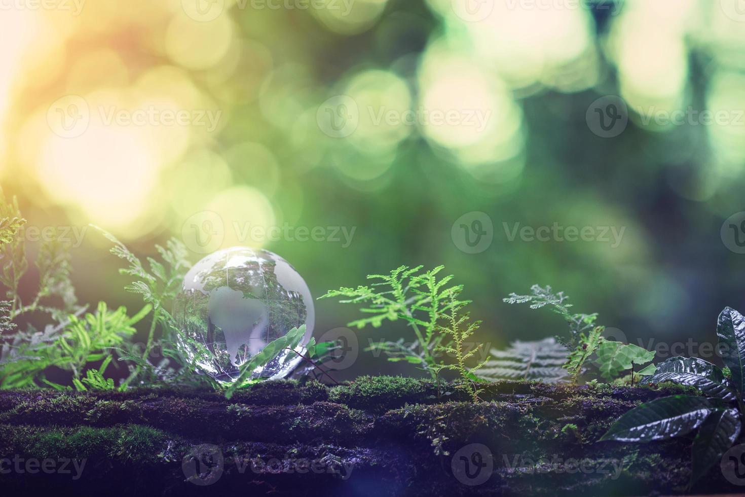 Globe planet glass In green forest with bokeh nature lights. world environment day. concept for environment conservation, protect ecology earth and environmental eco-friendly life with copy space photo
