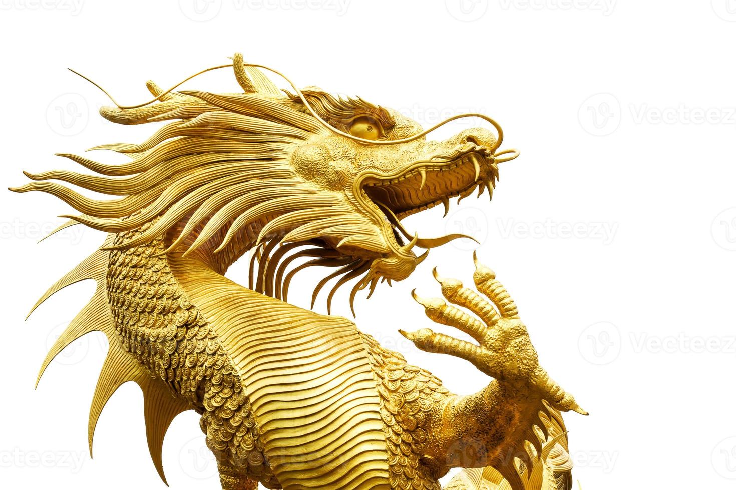 dragón chino dorado foto