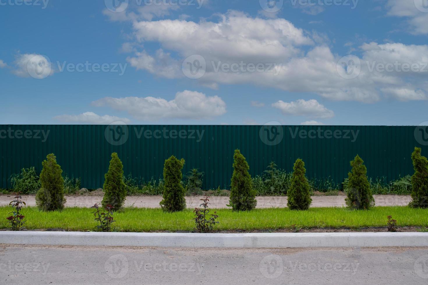 A metal corrugated green fence with decorative Christmas trees in front of the enterprise on the background of a blue sky with clouds. photo