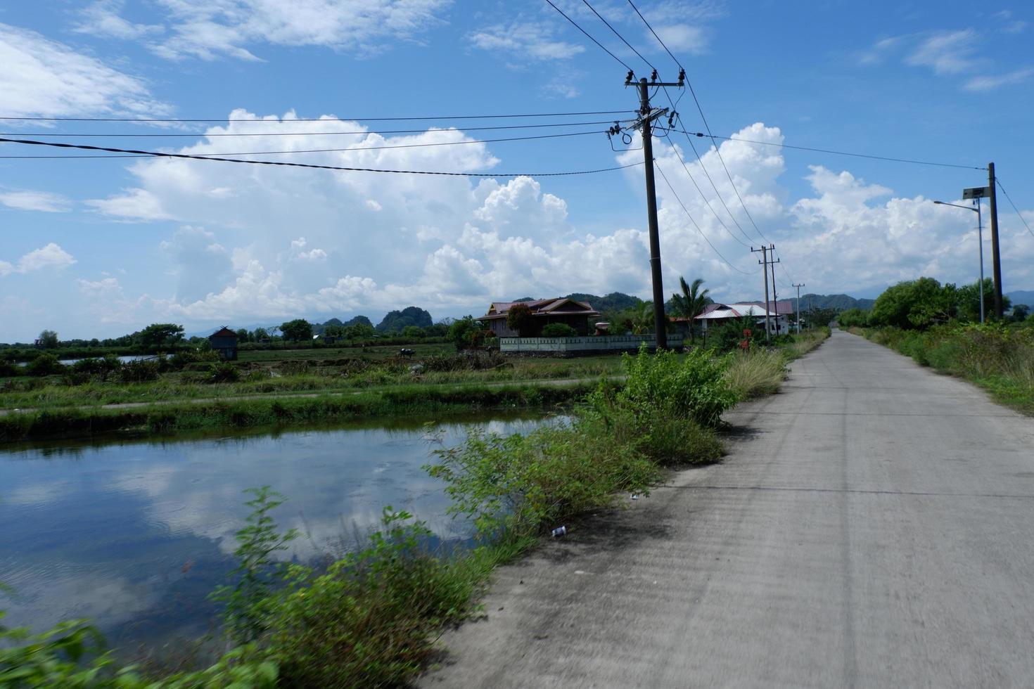 View of the small ricefield beside the main road under the clear sky photo