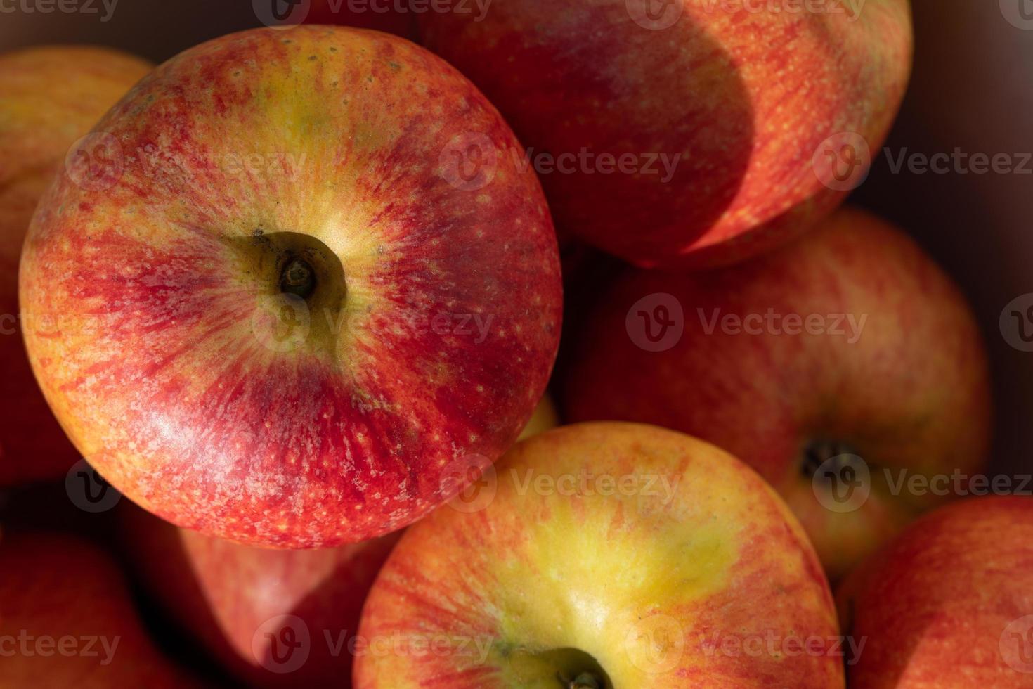 Close-up and background of red fresh apples lying on top of each other. photo