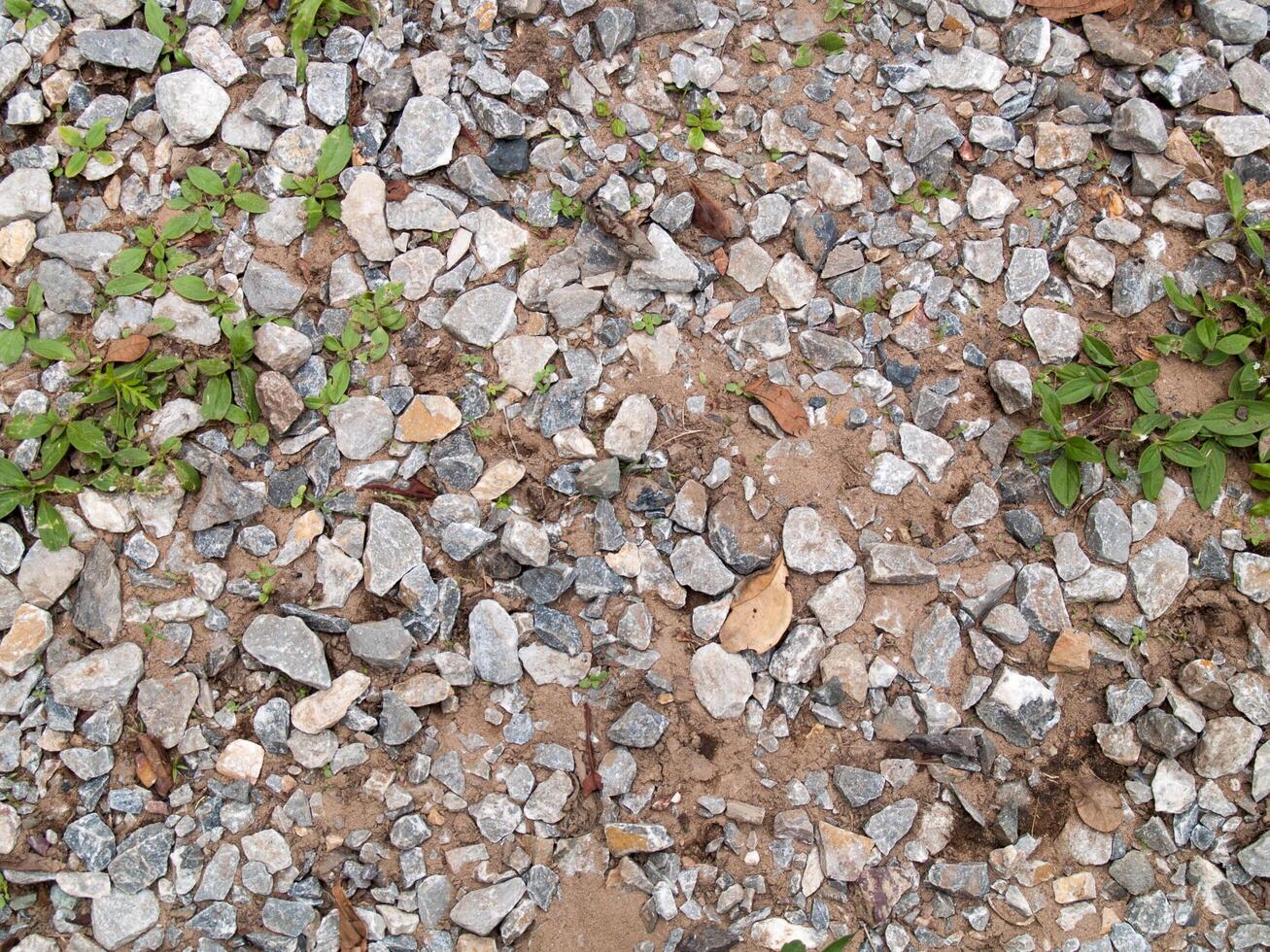 The texture of stone used for background images, Surface of stone brown color photo
