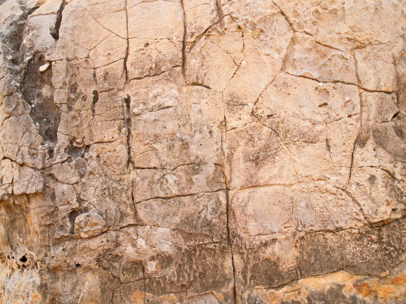 The texture of stone used for background images, Surface of stone brown color photo