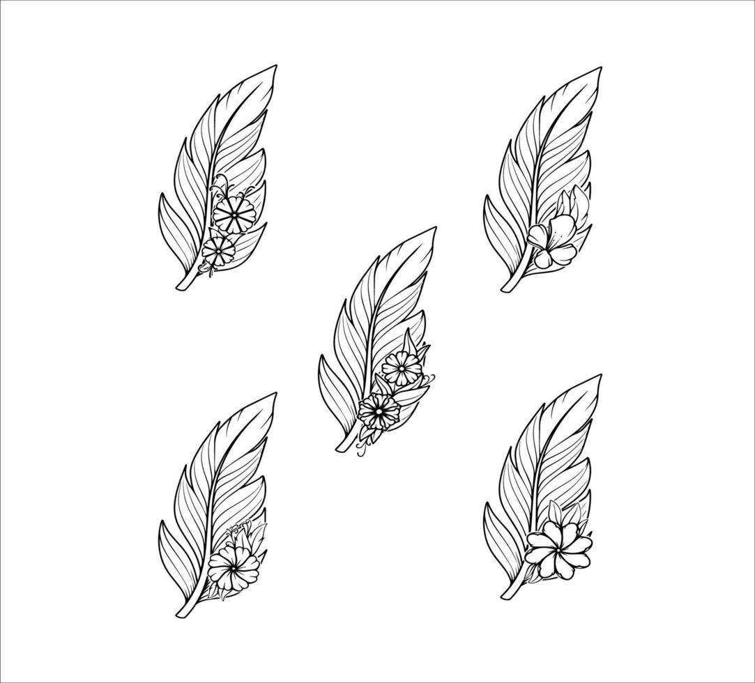 ilustraciones de plumas con colección floral vector