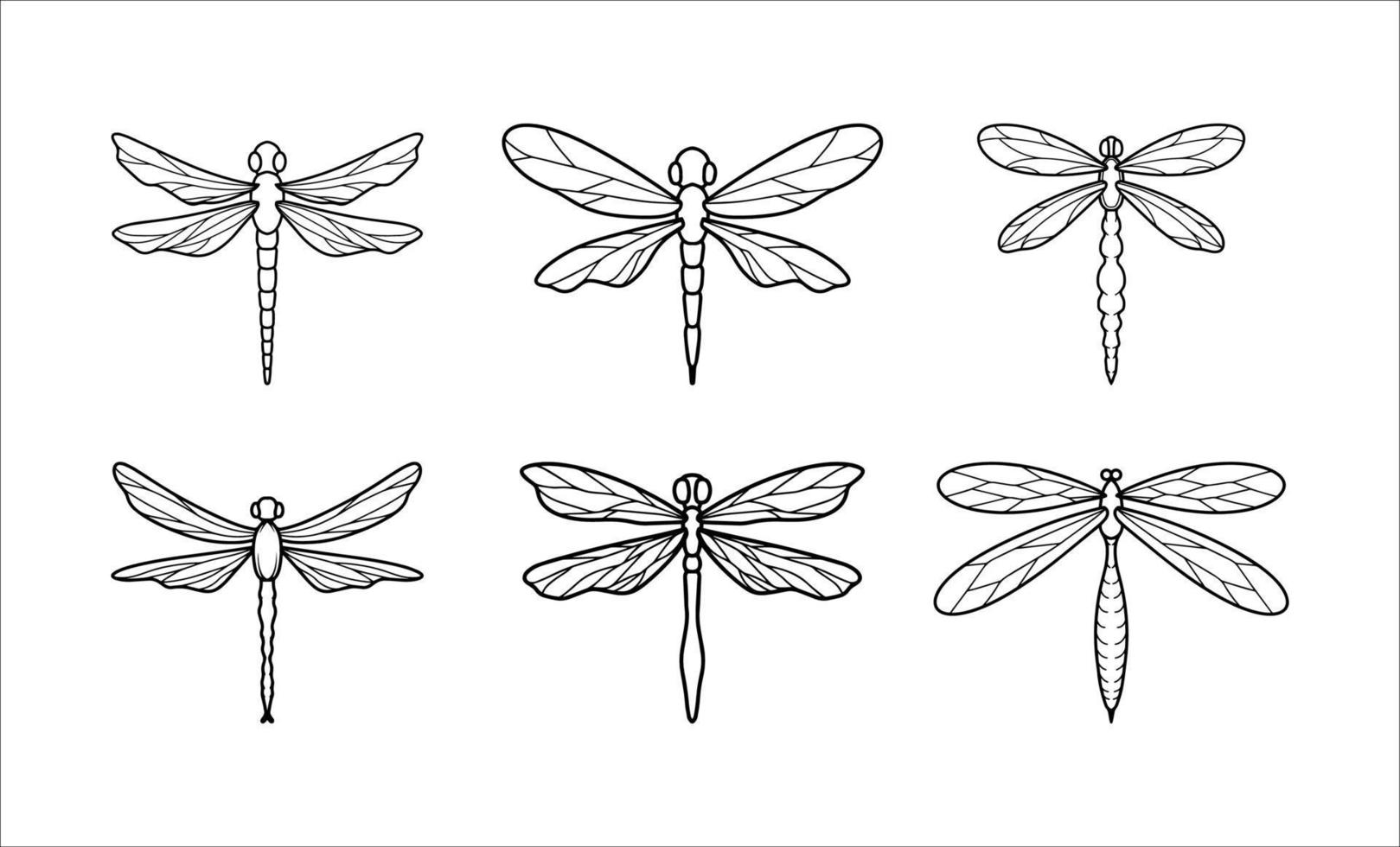 Collection of Insect Dragonflies Outline Illustrations vector