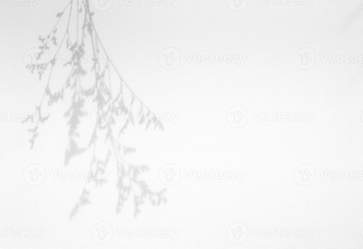 Leaves natural shadow overlay on white texture background, for overlay on product presentation, backdrop and mockup photo