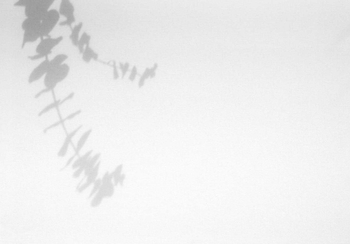 Leaves natural shadow overlay on white texture background, for overlay on product presentation, backdrop and mockup photo