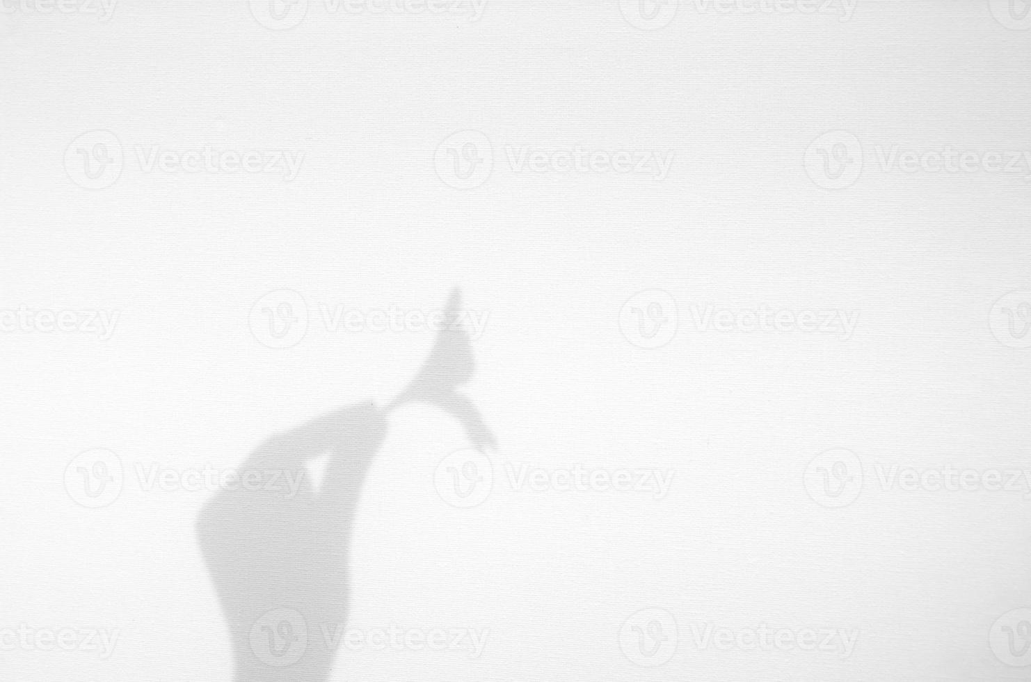 Realistic hand holding organic flower natural shadow overlay effect on white texture background photo