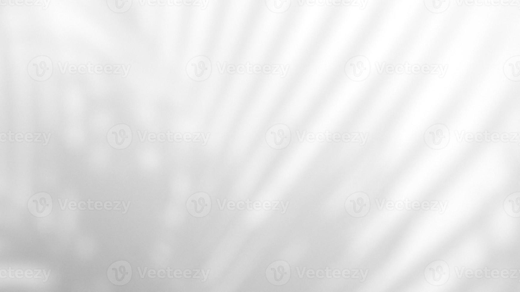 Leaves natural shadow overlay on white texture background, for overlay on product presentation, backdrop and mockup, summer seasonal concept photo