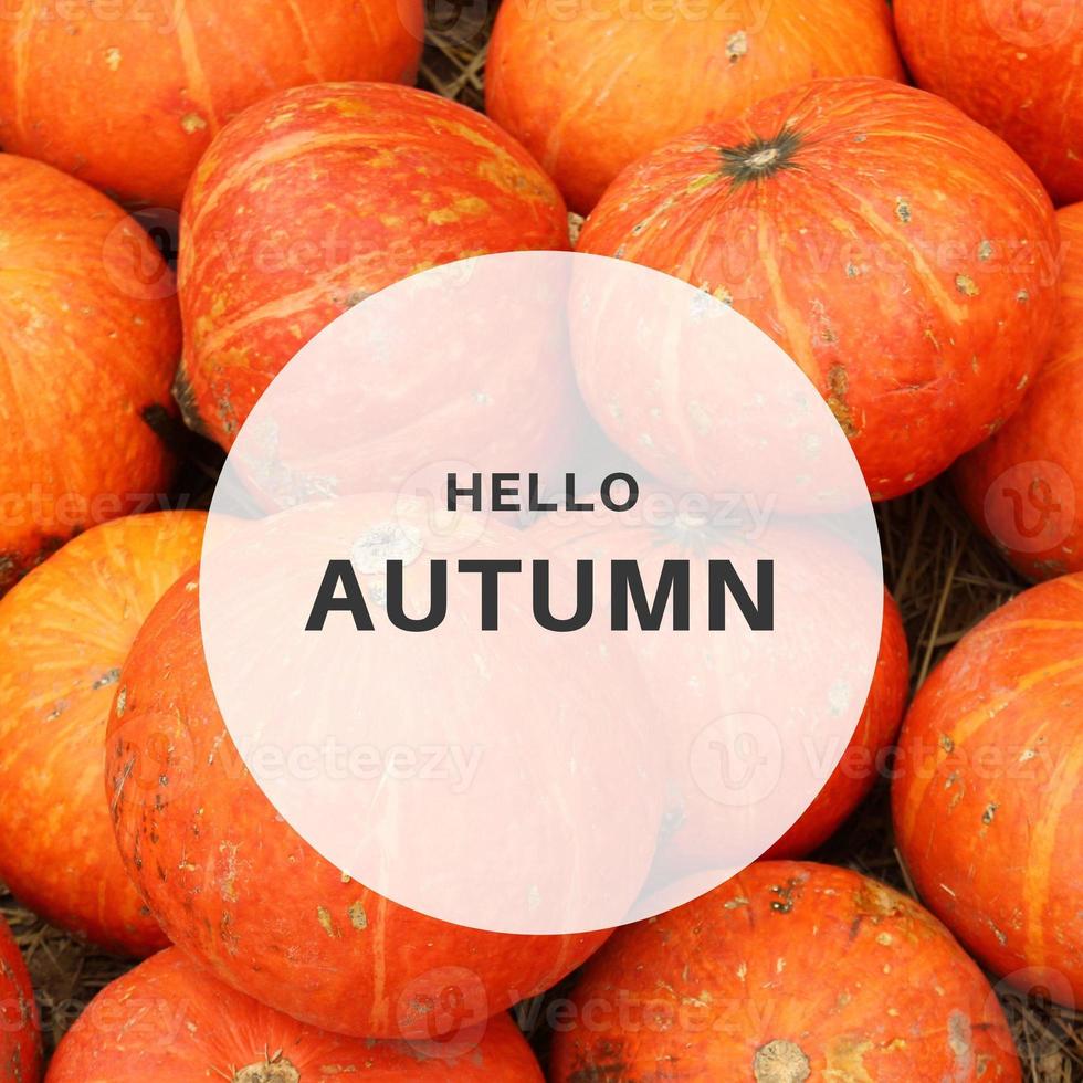 cita de motivación inspiradora hola otoño con calabaza en el fondo, vacaciones y concepto de temporada foto