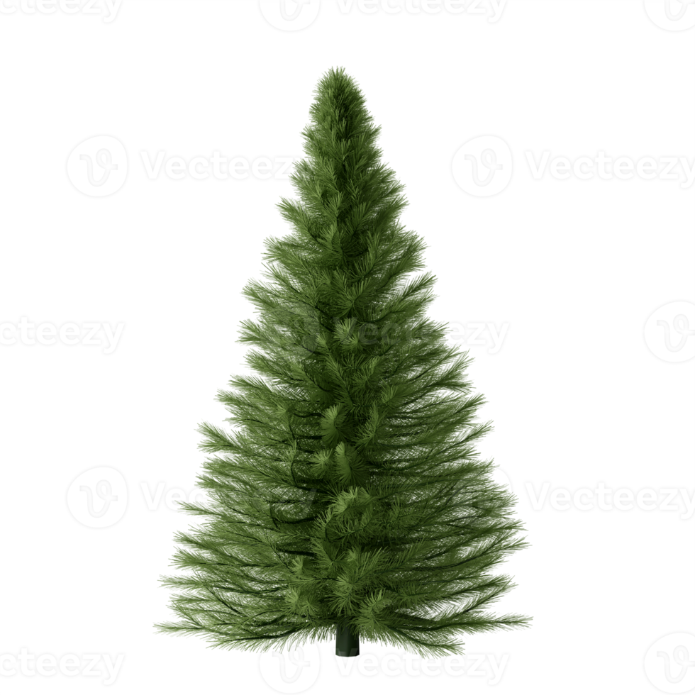 Christmas tree isolated 3d render png