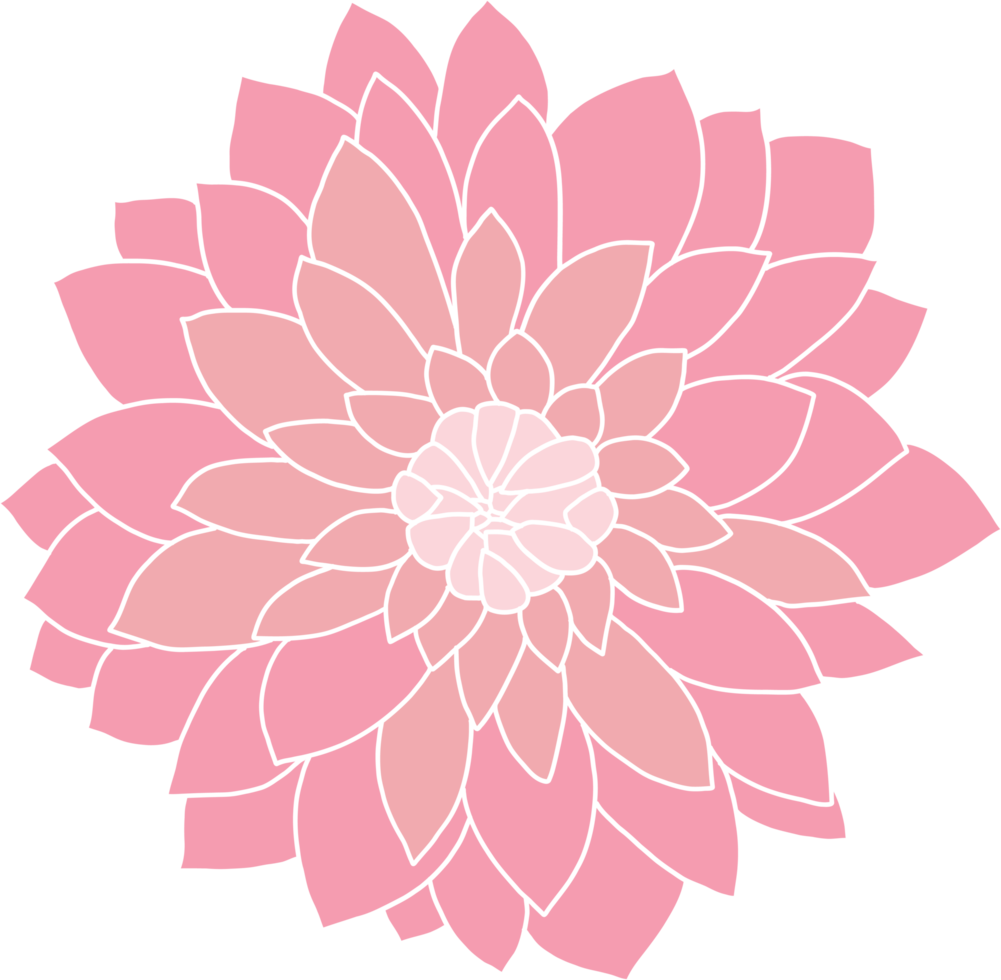 doodle freehand sketch drawing of flower. png
