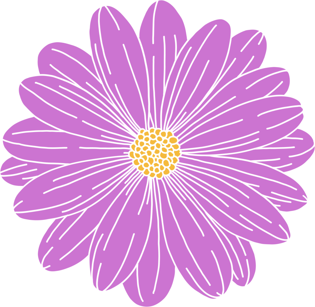 doodle schizzo a mano libera disegno del fiore. png