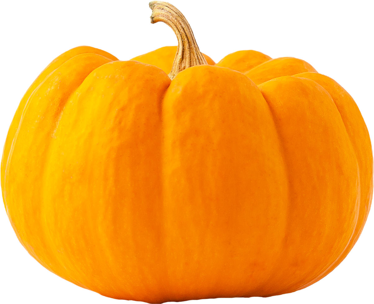 isolated pumpkin fruit on transparent background. png