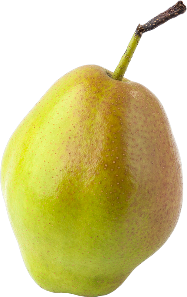isolated pear fruit on transparent background. png