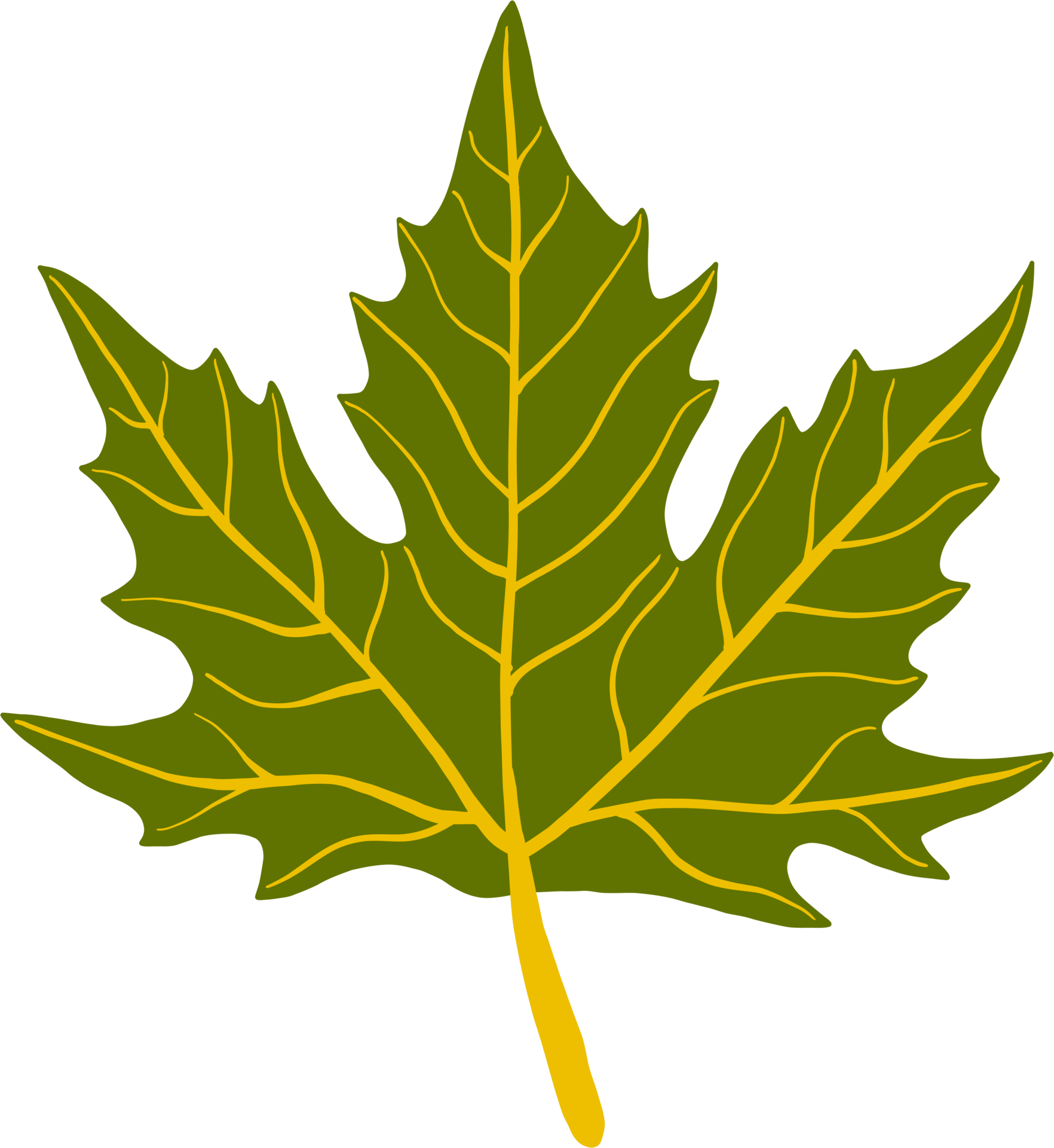 Chinar Leaf PNG