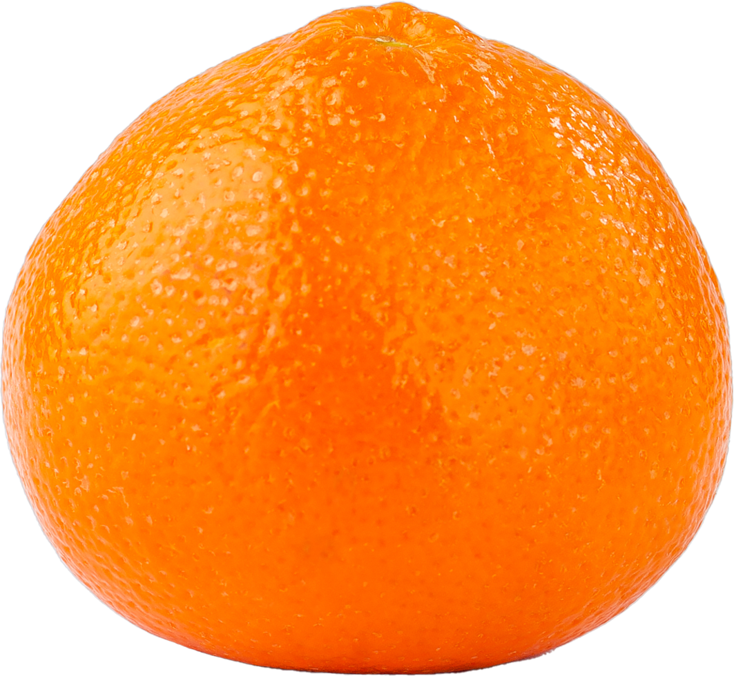 isolerat orange frukt på transparent bakgrund. png