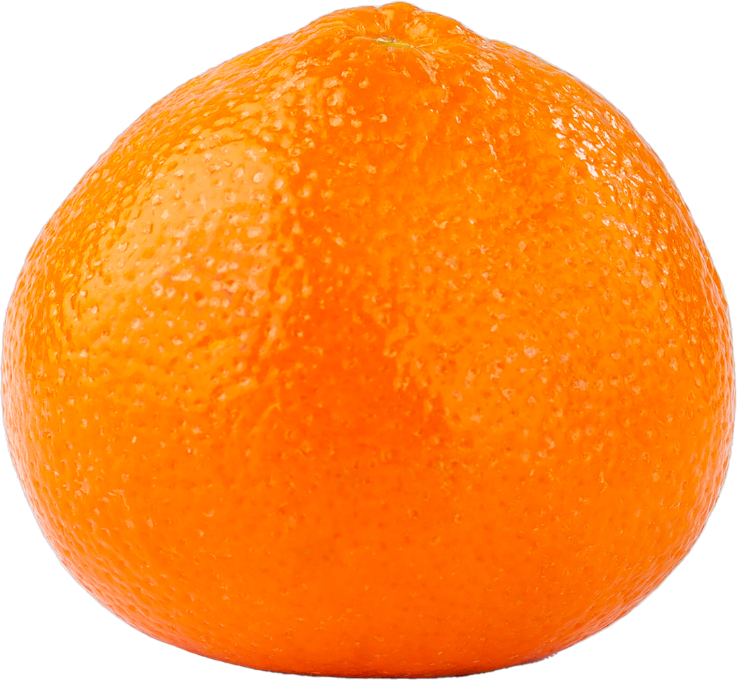 isolated orange fruit on transparent background. png