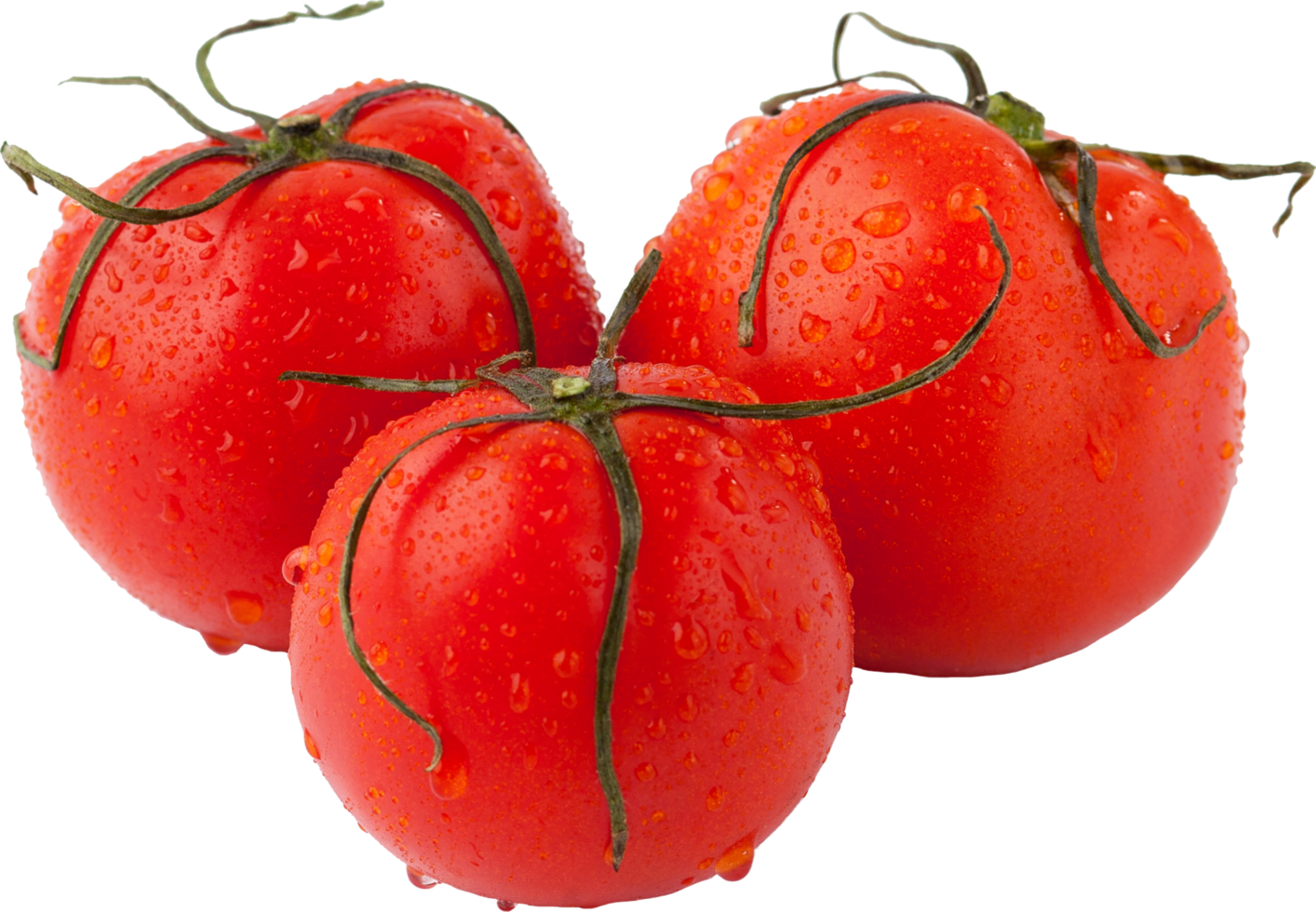 isolated tomato on transparent background. png