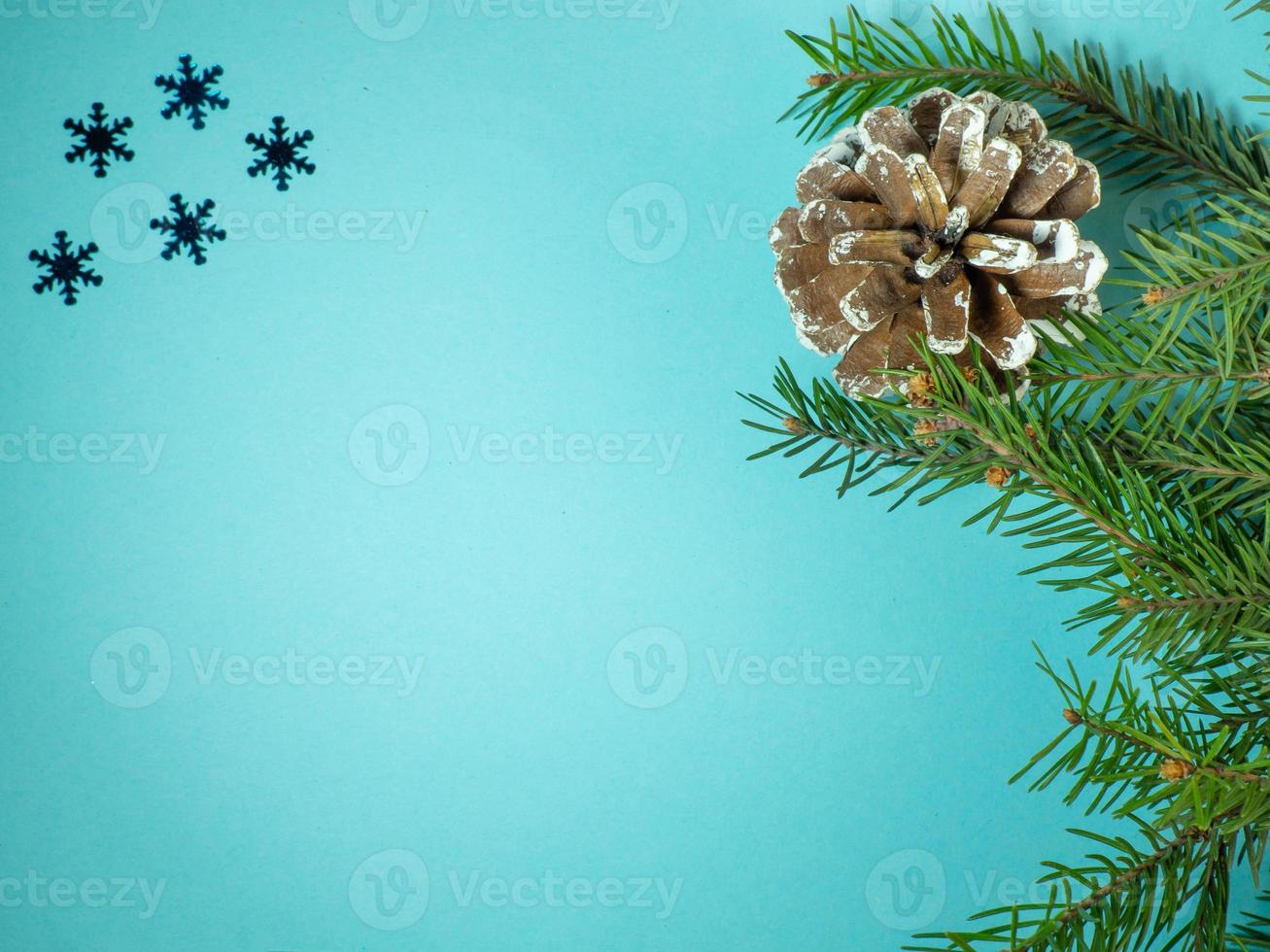 New Year card. Christmas card on blue background.  Fir branches. photo