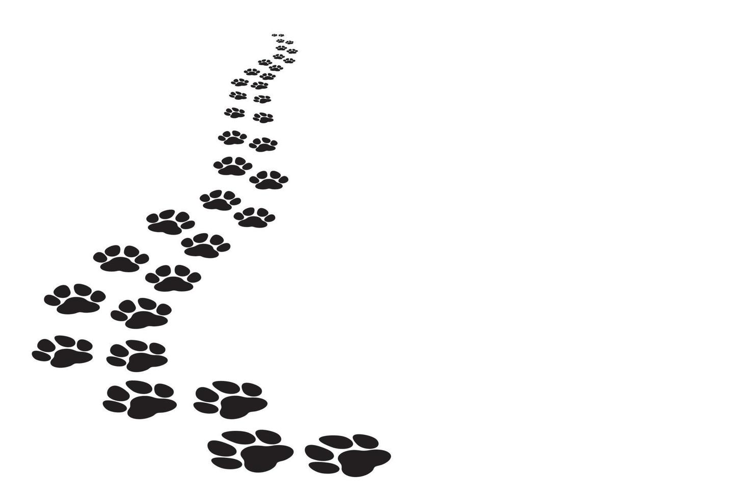 Dog paw trail receding on white background vector