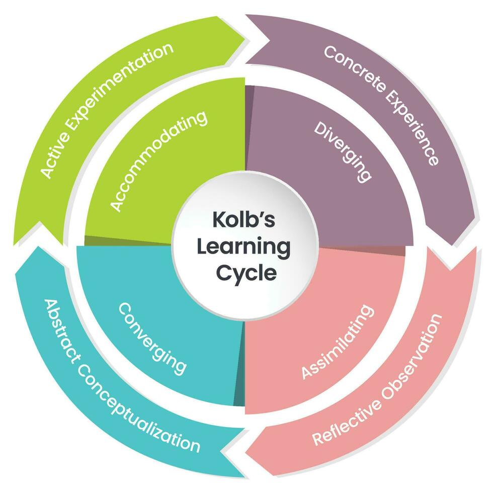 Kolb's Learning Cycle Infographic Vector Illustration