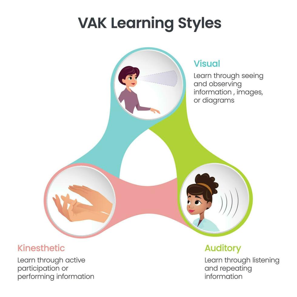 Ilustración de vector infográfico de estilos de aprendizaje vak