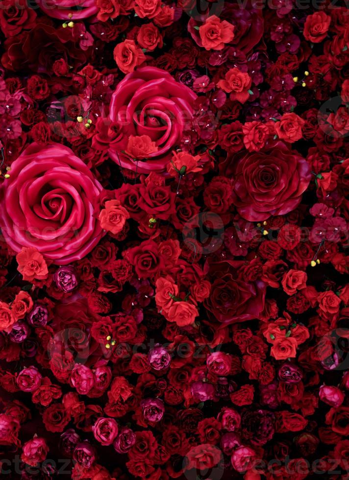 Red roses texture background. photo