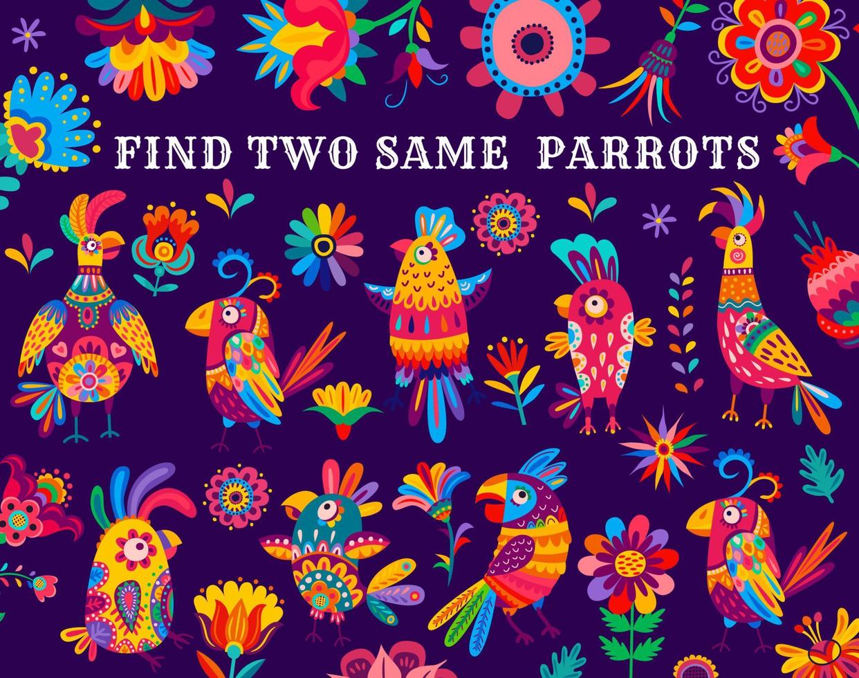 Find two same brazilian parrots kid game worksheet vector