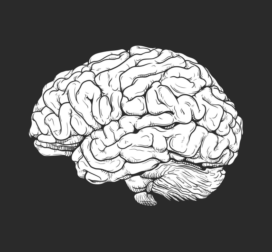 Monochrome brain engraving vector drawing illustration side view comic style on black background