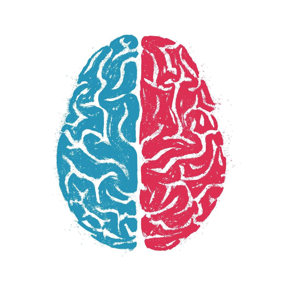 Logical and creative human brain. Isolated hand drawn vector illustration on white background