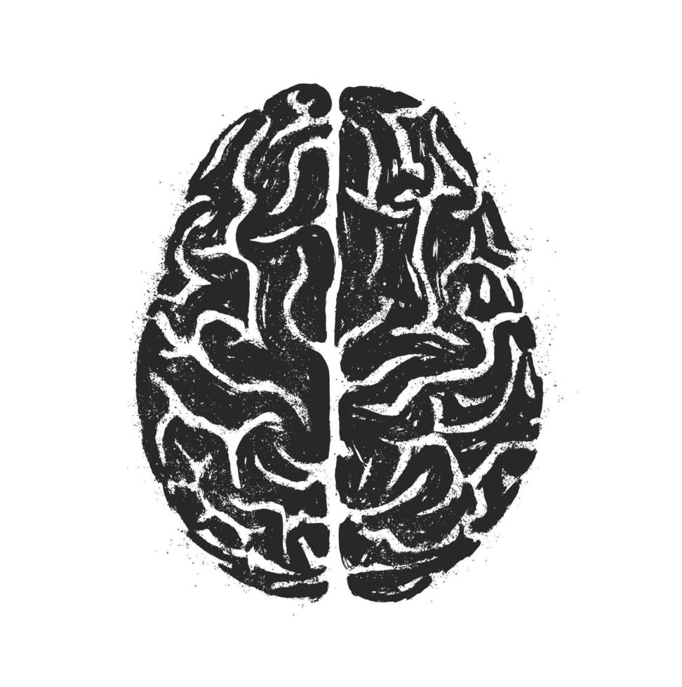 Human brain. Vector hand drawn illustration on white background